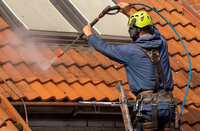 Démoussage et hydrofuge de toiture à Goux